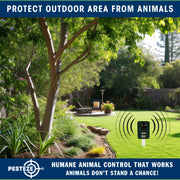 PESTEZE® Solar Ultrasonic Animal Repellent. Detects & Deters Unwanted Animals like Skunk, Deer, Coyote, Fox, Wolf, Rabbitt, Raccoon & Birds. Protect Property & Livestock without Harming Animals or People - Pesteze