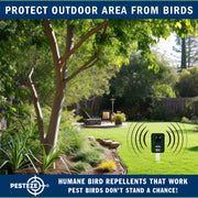 PESTEZE® Solar Ultrasonic Bird Repeller. Detects & Deters  Pest Birds like Woodpeckers, Pigeons, Crows, Ducks, Geese & Critters from Yards using Ultrasonic Sounds. Does not Harm Birds or People - Pesteze