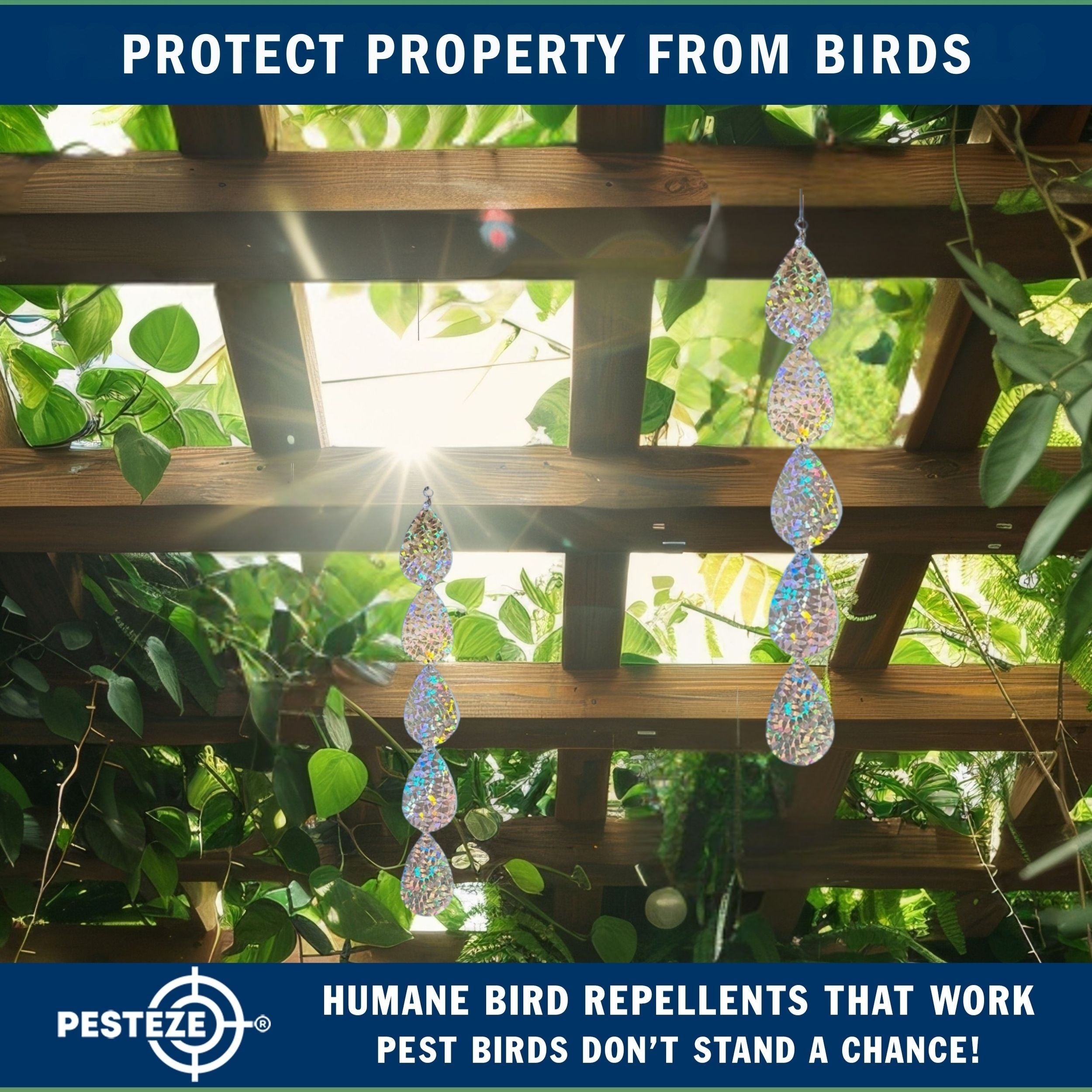 5 Piece PESTEZE® Holographic Shiny Water Droplet Repellents [3.25 x 30 inch] Reflection Scares Pest Birds like Woodpeckers, Sparrows, Pigeons, Crows & Gulls without Harming them to Protect Property