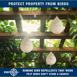 PESTEZE® Large Water Droplet Stainless Steel Highly Reflective Decorative 3D Wind Spinner for Repelling Unwanted Birds & Critters. 9 x 15 Inch Premium Shiny, Beautiful, Long Lasting & Durable Bird Repellent.