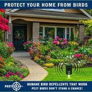 PESTEZE® Solar Ultrasonic Bird Repeller. Detects & Deters  Pest Birds like Woodpeckers, Pigeons, Crows, Ducks, Geese & Critters from Yards using Ultrasonic Sounds. Does not Harm Birds or People - Pesteze