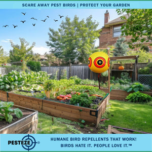 PESTEZE® Large 15" Yellow Bird Scare-Eye Balloon Decoy [1 Pack] Deters Unwanted Pest Birds like Pigeons, Gulls, Geese & Critters from Pools & Yards Without Harming Them To Protect Property