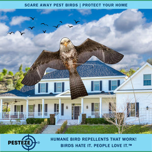 PESTEZE® Flying Eagle 46 x 26 Inch Kite Bird Deterrent with 13 ft Flagpole. Use in Yards & Farms to Protect Vegetables, Fruits & Crops from Pest Birds & Critters without Harming them