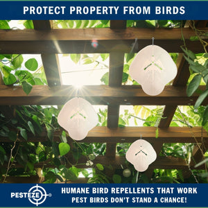 PESTEZE® Large Angel Stainless Steel Highly Reflective Decorative 3D Wind Spinner for Repelling Unwanted Birds & Critters. 11 x15  Inch Premium Shiny, Beautiful & Everlasting Bird Repellent.