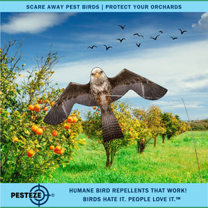 PESTEZE® Flying Eagle 46 x 26 Inch Kite Bird Deterrent with 13 ft Flagpole. Use in Yards & Farms to Protect Vegetables, Fruits & Crops from Pest Birds & Critters without Harming them