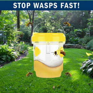 2 Pack PESTEZE® Reusable Solar Hanging Wasp Trap with LED Light [Yellow: 3.5 X 4.4 Inch] Attracts, Catches & Kills Wasp, Hornet, Yellow Jacket & Insect Species 24/7 without Harsh Chemicals. Waterproof