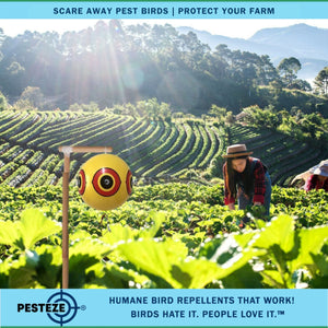 PESTEZE® Large 15" Yellow Bird Scare-Eye Balloon Decoy [1 Pack] Deters Unwanted Pest Birds like Pigeons, Gulls, Geese & Critters from Pools & Yards Without Harming Them To Protect Property