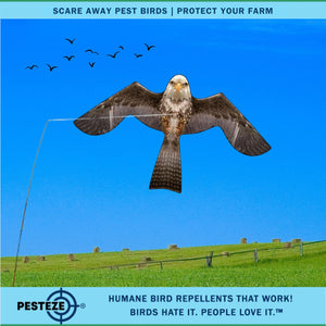 PESTEZE® Flying Eagle 46 x 26 Inch Kite Bird Deterrent with 13 ft Flagpole. Use in Yards & Farms to Protect Vegetables, Fruits & Crops from Pest Birds & Critters without Harming them