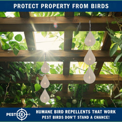 3 Piece PESTEZE® Water Droplet Stainless Steel Highly Reflective Decorative 3D Wind Spinner for Repelling Unwanted Birds & Critters. 2.5 X 12.5 Inch Premium Shiny, Attractive, Everlasting & Sturdy Bird Deterrent