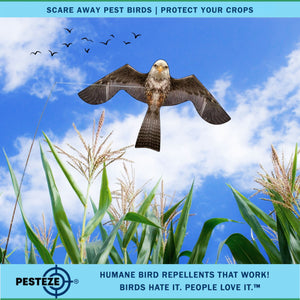 PESTEZE® Flying Eagle 46 x 26 Inch Kite Bird Deterrent with 13 ft Flagpole. Use in Yards & Farms to Protect Vegetables, Fruits & Crops from Pest Birds & Critters without Harming them