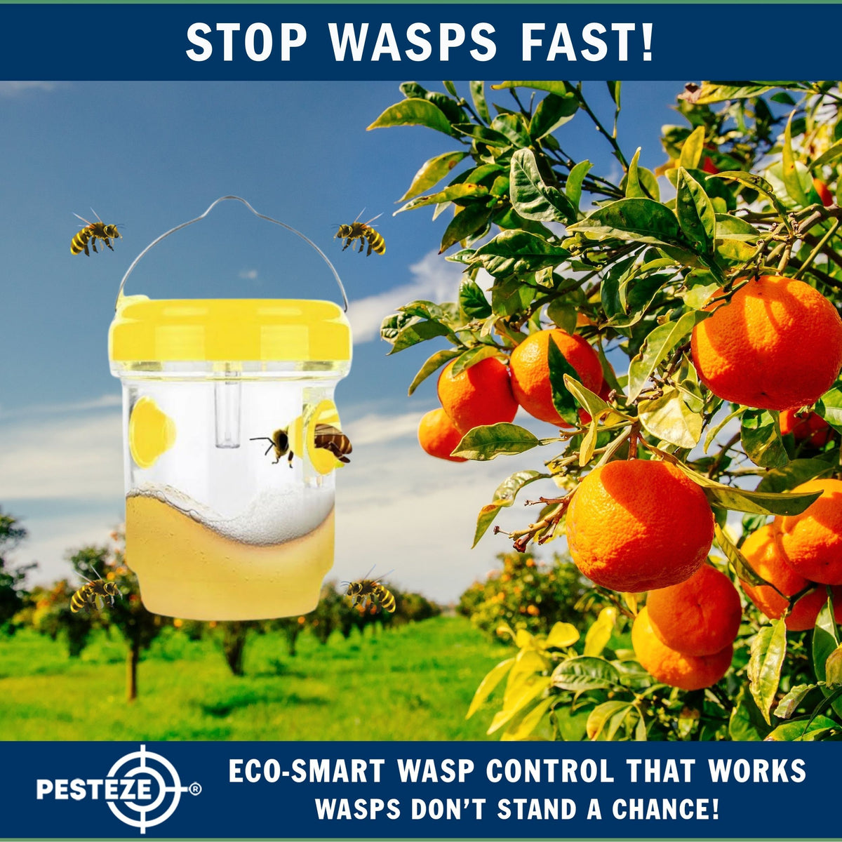 PESTEZE® USA Reusable Solar Hanging Wasp Trap with LED Light [Yellow: 3.5 x 4.4 Inch] Attracts, & Kills Wasp, Hornet, Yellow Jacket & Insect Species 24/7 Without Harsh Chemicals Waterproof Outdoor Trap