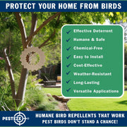 PESTEZE® USA Premium Hummingbird Wind Spinner – 6x9 Inch Stainless Steel 3D Reflective Outdoor Spinner for Bird Deterrent, Garden & Patio Decor, Hanging Kinetic Metal Ornament Scares Birds & Adds Shine