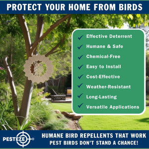 PESTEZE® Owl Stainless Steel Highly Reflective Decorative 3D Wind Spinner for Scaring Unwanted Pest Birds & Critters. 6 x 9 Inch Premium Shiny, Attractive, Sturdy, Everlasting & Humane Bird Control