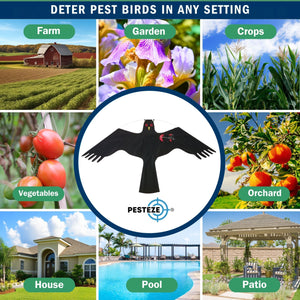 PESTEZE® Black Flying Hawk 54 x 30 Inch Kite Bird Deterrent with 13 ft Flagpole. Use in Yards & Farms to Protect Vegetables, Fruits, Crops & Property from Pest Birds & Critters without Harming them