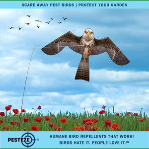 PESTEZE® Flying Eagle 46 x 26 Inch Kite Bird Deterrent with 13 ft Flagpole. Use in Yards & Farms to Protect Vegetables, Fruits & Crops from Pest Birds & Critters without Harming them