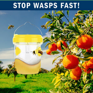 2 Pack PESTEZE® Reusable Solar Hanging Wasp Trap with LED Light [Yellow: 3.5 X 4.4 Inch] Attracts, Catches & Kills Wasp, Hornet, Yellow Jacket & Insect Species 24/7 without Harsh Chemicals. Waterproof