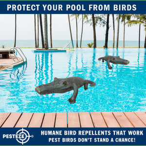 PESTEZE® 49 Inch Realistic Inflatable Alligator [1 Pack] Scares Pest Birds like Woodpeckers, Sparrows, Pigeons, Crows, Gulls & Critters from Pools & Yards without Harming them to Protect Property