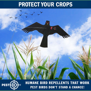 PESTEZE® Black Flying Hawk 54 x 30 Inch Kite Bird Deterrent with 13 ft Flagpole. Use in Yards & Farms to Protect Vegetables, Fruits, Crops & Property from Pest Birds & Critters without Harming them
