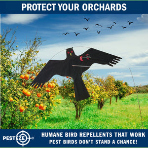PESTEZE® Black Flying Hawk 54 x 30 Inch Kite Bird Deterrent with 13 ft Flagpole. Use in Yards & Farms to Protect Vegetables, Fruits, Crops & Property from Pest Birds & Critters without Harming them