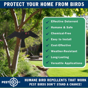 PESTEZE® Black Flying Hawk 54 x 30 Inch Kite Bird Deterrent with 13 ft Flagpole. Use in Yards & Farms to Protect Vegetables, Fruits, Crops & Property from Pest Birds & Critters without Harming them