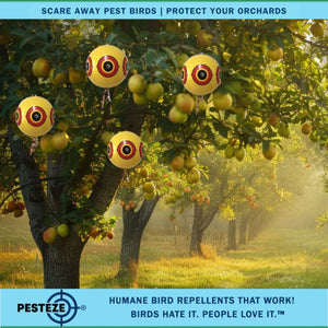 PESTEZE® Large 15" Yellow Bird Scare-Eye Balloon Decoy [1 Pack] Deters Unwanted Pest Birds like Pigeons, Gulls, Geese & Critters from Pools & Yards Without Harming Them To Protect Property