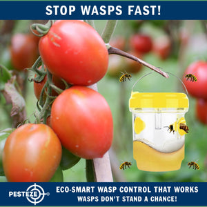 2 Pack PESTEZE® Reusable Solar Hanging Wasp Trap with LED Light [Yellow: 3.5 X 4.4 Inch] Attracts, Catches & Kills Wasp, Hornet, Yellow Jacket & Insect Species 24/7 without Harsh Chemicals. Waterproof