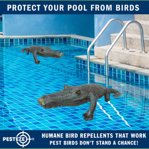 PESTEZE® 49 Inch Realistic Inflatable Alligator [1 Pack] Scares Pest Birds like Woodpeckers, Sparrows, Pigeons, Crows, Gulls & Critters from Pools & Yards without Harming them to Protect Property