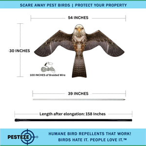 PESTEZE® Flying Eagle 46 x 26 Inch Kite Bird Deterrent with 13 ft Flagpole. Use in Yards & Farms to Protect Vegetables, Fruits & Crops from Pest Birds & Critters without Harming them