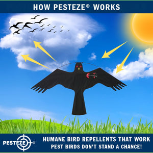 PESTEZE® Black Flying Hawk 54 x 30 Inch Kite Bird Deterrent with 13 ft Flagpole. Use in Yards & Farms to Protect Vegetables, Fruits, Crops & Property from Pest Birds & Critters without Harming them