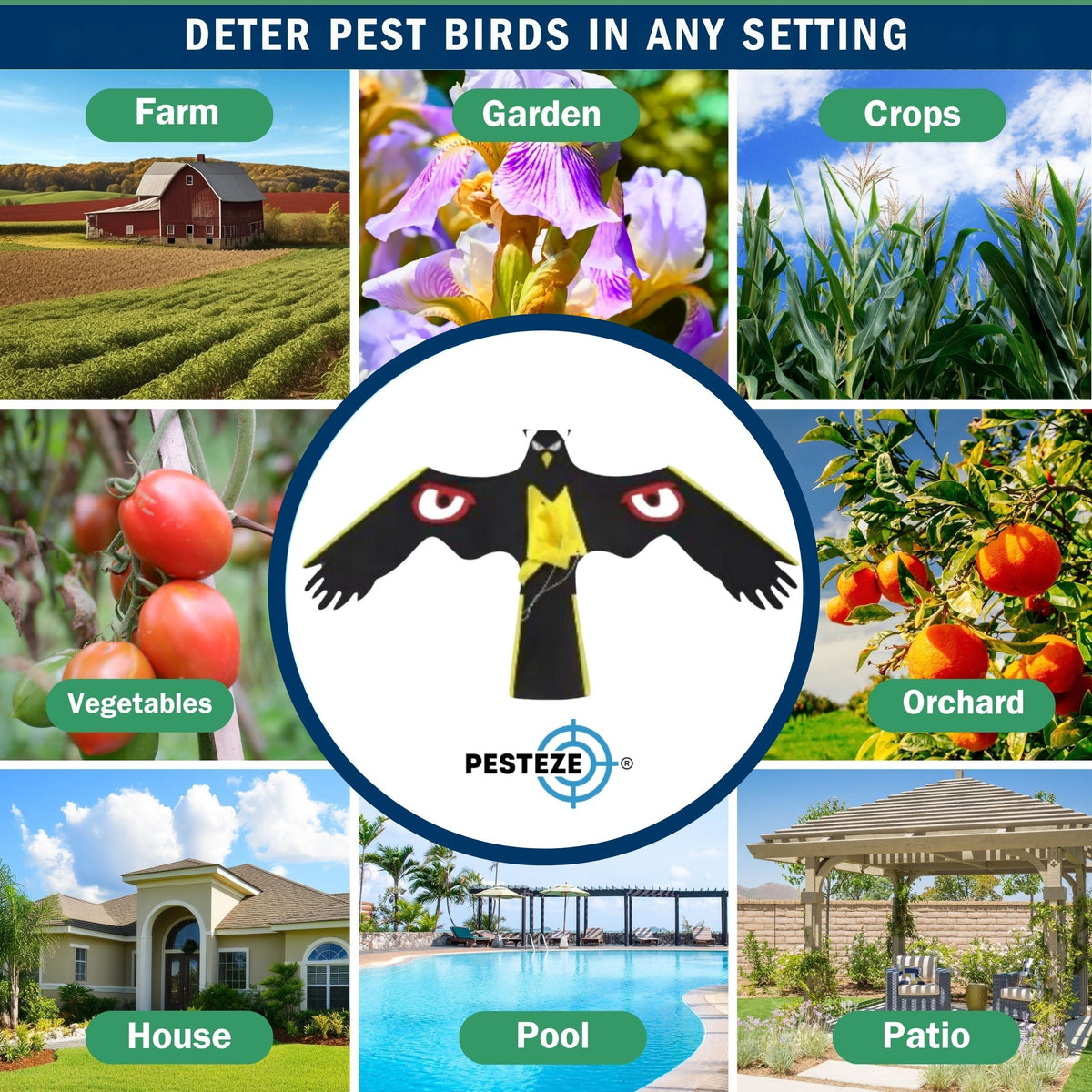PESTEZE® Black Flying Hawk 54 x 30 Inch Kite with Predator Eyes & 13 ft Flagpole to Deter Birds. Use in Yards & Farms to Protect Vegetables, Fruits, Crops & Property from Pest Birds & Critters without Harming them