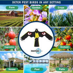 PESTEZE® Black Flying Hawk 54 x 30 Inch Kite with Predator Eyes & 13 ft Flagpole to Deter Birds. Use in Yards & Farms to Protect Vegetables, Fruits, Crops & Property from Pest Birds & Critters without Harming them