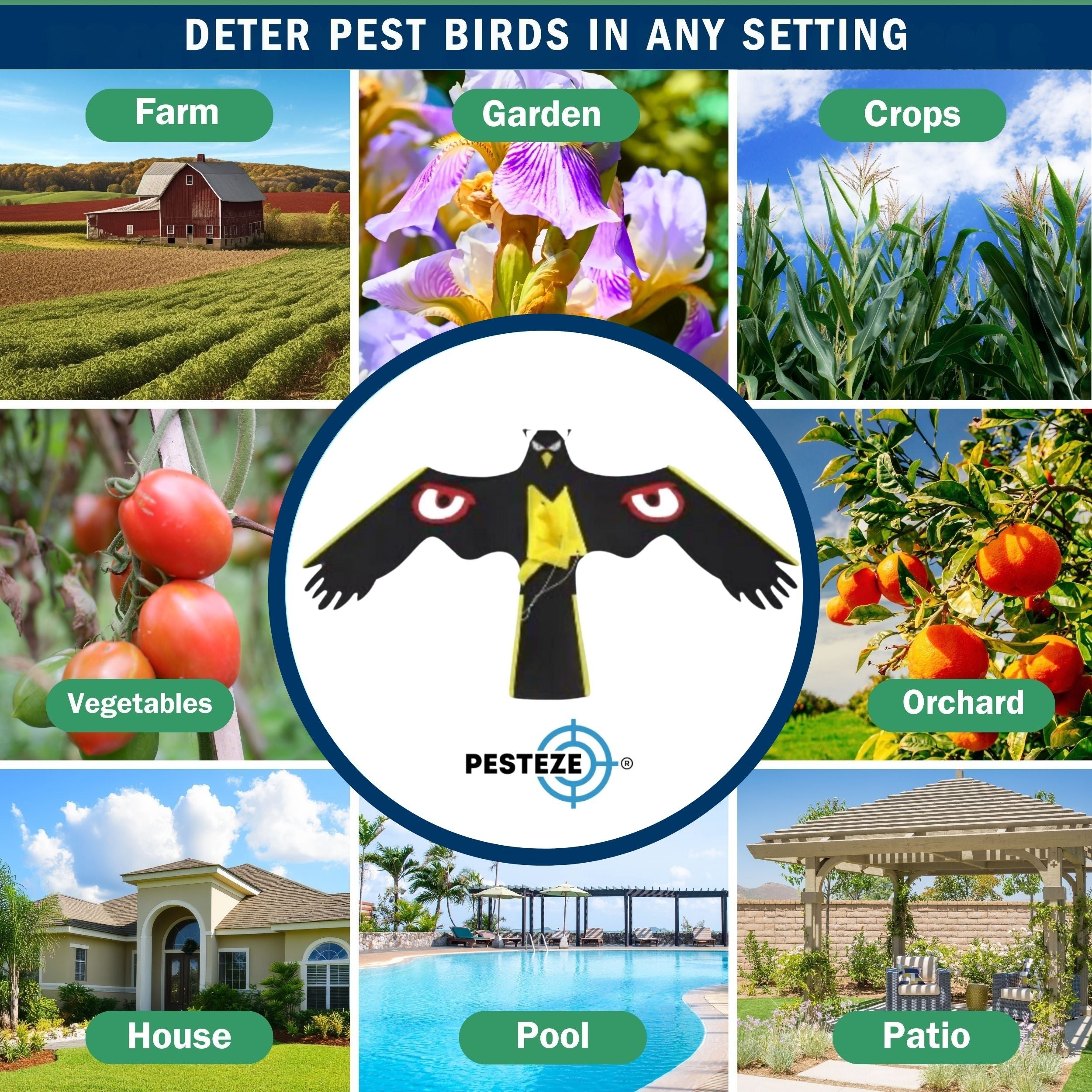 PESTEZE® Black Flying Hawk 54 x 30 Inch Kite with Predator Eyes & 13 ft Flagpole to Deter Birds. Use in Yards & Farms to Protect Vegetables, Fruits, Crops & Property from Pest Birds & Critters without Harming them