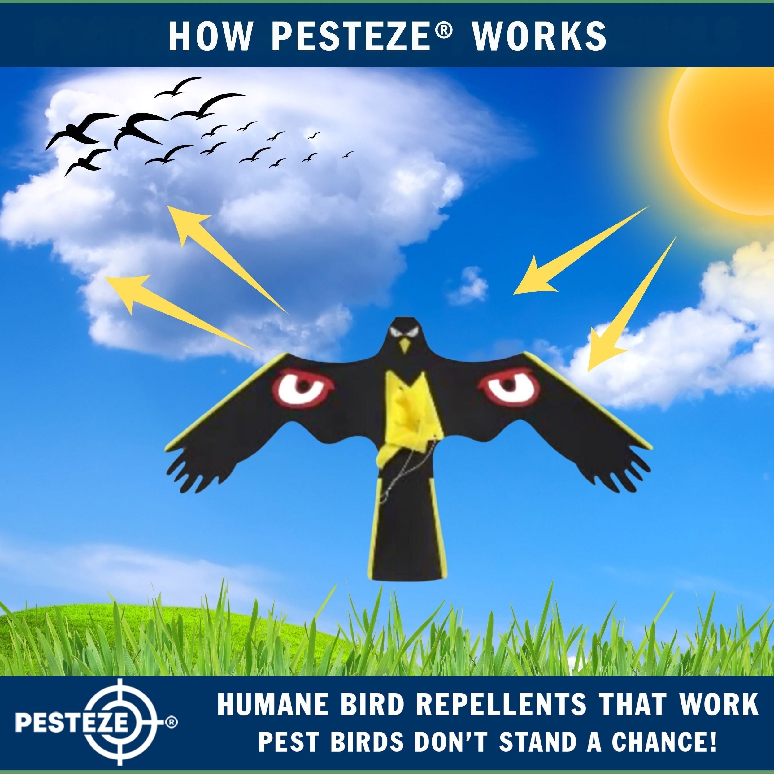 PESTEZE® Black Flying Hawk 54 x 30 Inch Kite with Predator Eyes & 13 ft Flagpole to Deter Birds. Use in Yards & Farms to Protect Vegetables, Fruits, Crops & Property from Pest Birds & Critters without Harming them