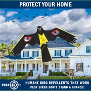 PESTEZE® Black Flying Hawk 54 x 30 Inch Kite with Predator Eyes & 13 ft Flagpole to Deter Birds. Use in Yards & Farms to Protect Vegetables, Fruits, Crops & Property from Pest Birds & Critters without Harming them