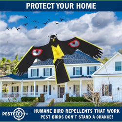 PESTEZE® Black Flying Hawk 54 x 30 Inch Kite with Predator Eyes & 13 ft Flagpole to Deter Birds. Use in Yards & Farms to Protect Vegetables, Fruits, Crops & Property from Pest Birds & Critters without Harming them
