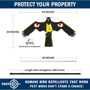 PESTEZE® Black Flying Hawk 54 x 30 Inch Kite with Predator Eyes & 13 ft Flagpole to Deter Birds. Use in Yards & Farms to Protect Vegetables, Fruits, Crops & Property from Pest Birds & Critters without Harming them