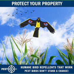 PESTEZE® Black Flying Hawk 54 x 30 Inch Kite with Predator Eyes & 13 ft Flagpole to Deter Birds. Use in Yards & Farms to Protect Vegetables, Fruits, Crops & Property from Pest Birds & Critters without Harming them