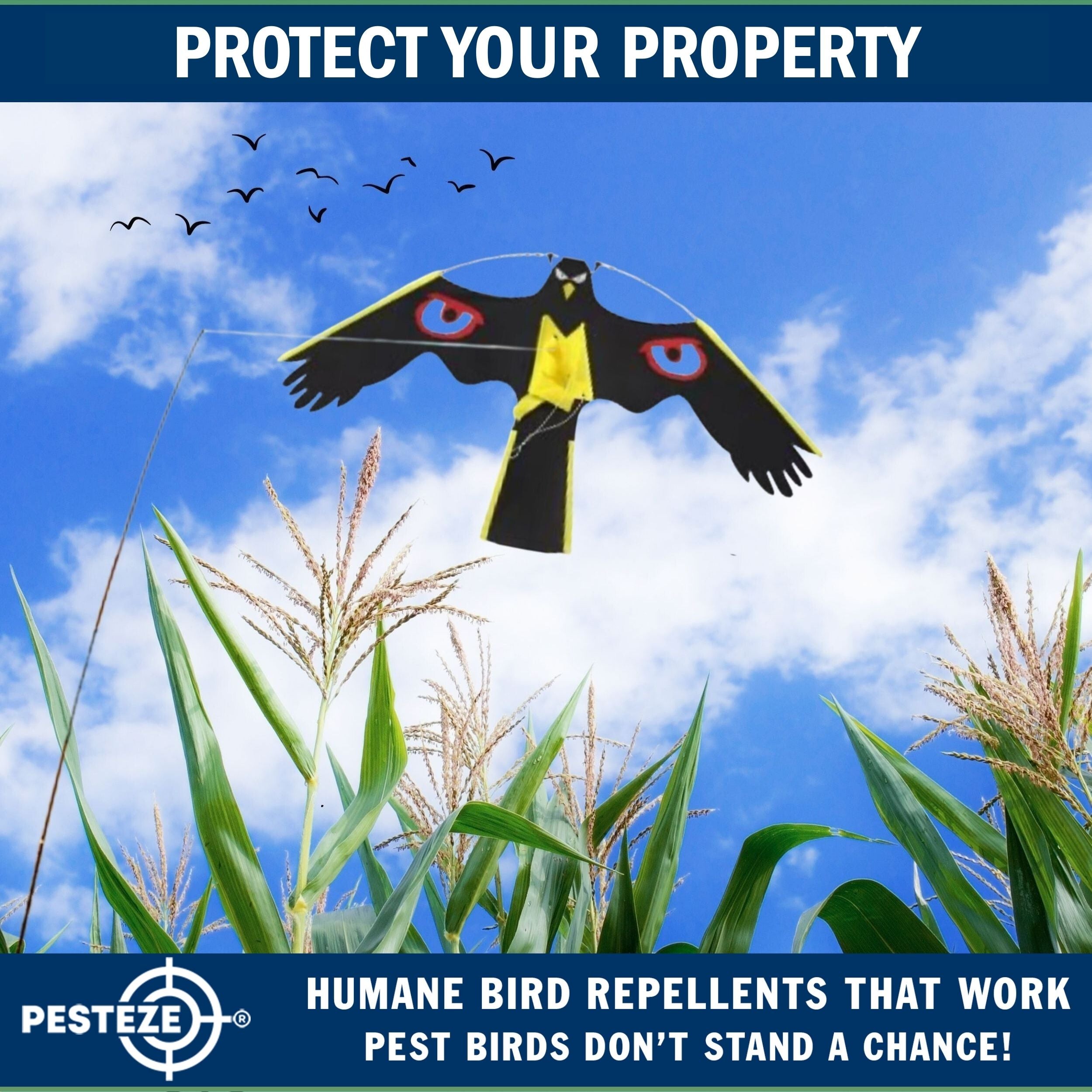 PESTEZE® Black Flying Hawk 54 x 30 Inch Kite with Predator Eyes & 13 ft Flagpole to Deter Birds. Use in Yards & Farms to Protect Vegetables, Fruits, Crops & Property from Pest Birds & Critters without Harming them