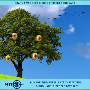 PESTEZE® Large 15" Yellow Bird Predator-Eye Balloon Repellant [4 Pack] Deters Unwanted Pest Birds like Pigeons, Gulls, Geese & Critters from Pools & Yards Without Harming Them To Protect Property