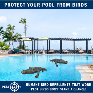 PESTEZE® 49 Inch Realistic Inflatable Alligator [1 Pack] Scares Pest Birds like Woodpeckers, Sparrows, Pigeons, Crows, Gulls & Critters from Pools & Yards without Harming them to Protect Property