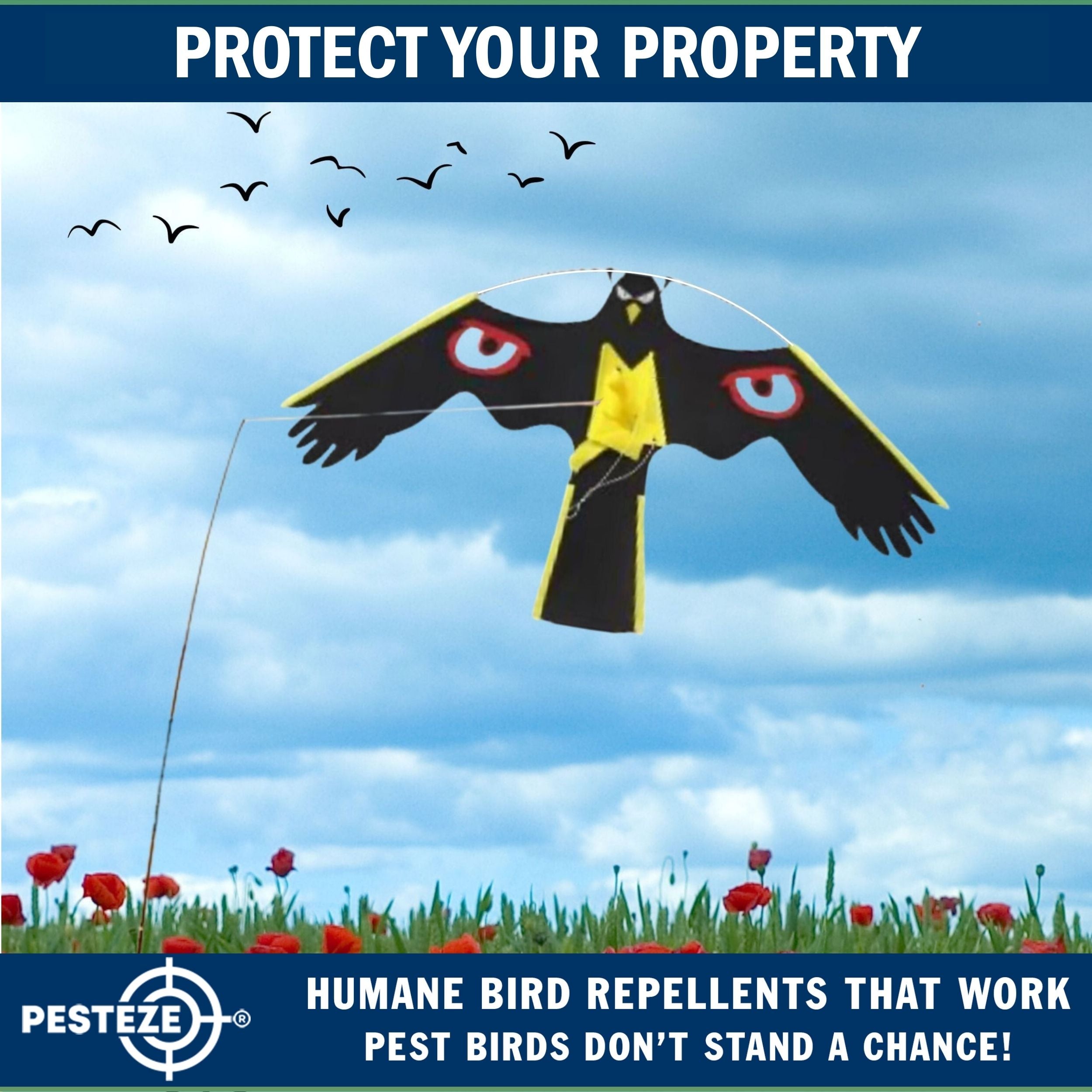 PESTEZE® Black Flying Hawk 54 x 30 Inch Kite with Predator Eyes & 13 ft Flagpole to Deter Birds. Use in Yards & Farms to Protect Vegetables, Fruits, Crops & Property from Pest Birds & Critters without Harming them