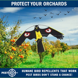 PESTEZE® Black Flying Hawk 54 x 30 Inch Kite with Predator Eyes & 13 ft Flagpole to Deter Birds. Use in Yards & Farms to Protect Vegetables, Fruits, Crops & Property from Pest Birds & Critters without Harming them