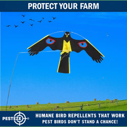 PESTEZE® Black Flying Hawk 54 x 30 Inch Kite with Predator Eyes & 13 ft Flagpole to Deter Birds. Use in Yards & Farms to Protect Vegetables, Fruits, Crops & Property from Pest Birds & Critters without Harming them