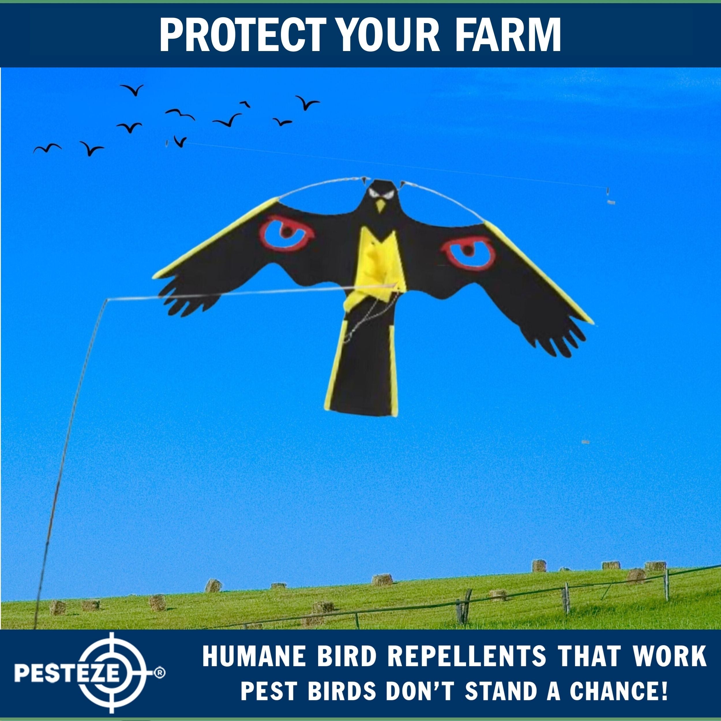 PESTEZE® Black Flying Hawk 54 x 30 Inch Kite with Predator Eyes & 13 ft Flagpole to Deter Birds. Use in Yards & Farms to Protect Vegetables, Fruits, Crops & Property from Pest Birds & Critters without Harming them