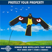 PESTEZE® Black Flying Hawk 54 x 30 Inch Kite with Predator Eyes & 13 ft Flagpole to Deter Birds. Use in Yards & Farms to Protect Vegetables, Fruits, Crops & Property from Pest Birds & Critters without Harming them