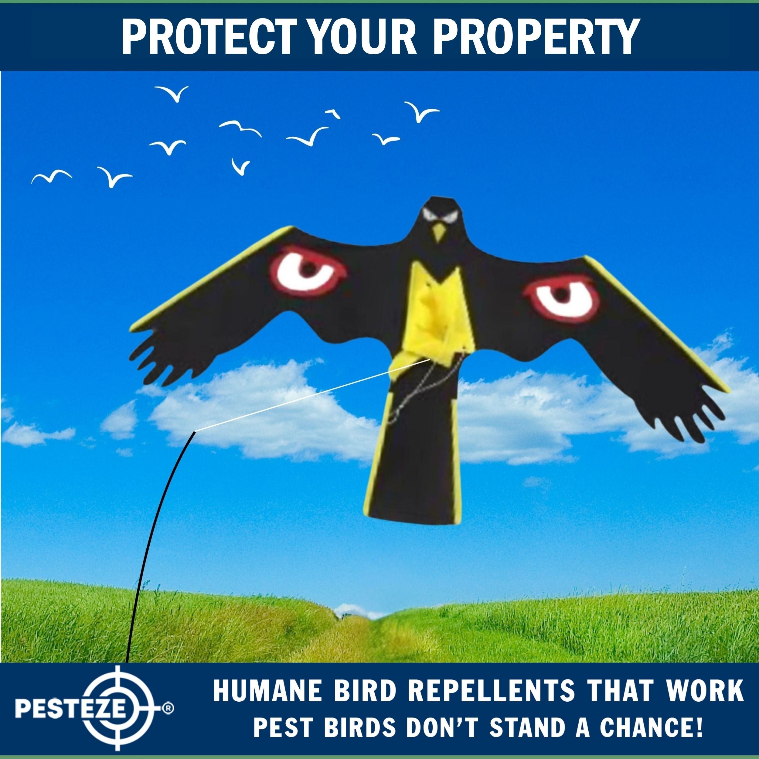 PESTEZE® Black Flying Hawk 54 x 30 Inch Kite with Predator Eyes & 13 ft Flagpole to Deter Birds. Use in Yards & Farms to Protect Vegetables, Fruits, Crops & Property from Pest Birds & Critters without Harming them