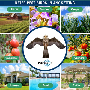 PESTEZE® MULTI-COLORED Flying Eagle 4 54 x 30 Inch Kite Bird Deterrent with 13 ft Flagpole. Use in Yards & Farms to Protect Vegetables, Fruits & Crops from Pest Birds & Critters without Harming them
