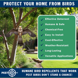 PESTEZE® MULTI-COLORED Flying Eagle 4 54 x 30 Inch Kite Bird Deterrent with 13 ft Flagpole. Use in Yards & Farms to Protect Vegetables, Fruits & Crops from Pest Birds & Critters without Harming them