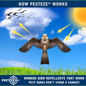 PESTEZE® MULTI-COLORED Flying Eagle 4 54 x 30 Inch Kite Bird Deterrent with 13 ft Flagpole. Use in Yards & Farms to Protect Vegetables, Fruits & Crops from Pest Birds & Critters without Harming them