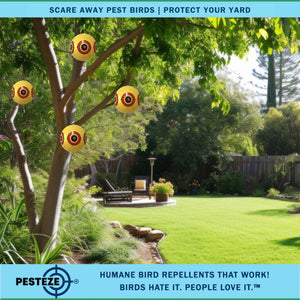 PESTEZE® Large 15" Yellow Bird Predator-Eye Balloon Repellant [4 Pack] Deters Unwanted Pest Birds like Pigeons, Gulls, Geese & Critters from Pools & Yards Without Harming Them To Protect Property